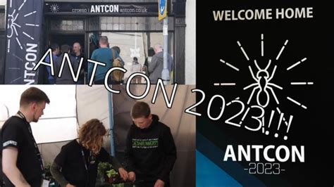 Antcon 2023 The Second Ant Keeping Convention In The Uk Youtube