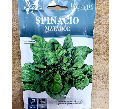 Spinach Vegetable Seeds Spinacio Matador By Hortus Cacti