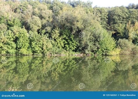 The Shore Of The Plain River Stock Image Image Of Stone Natural