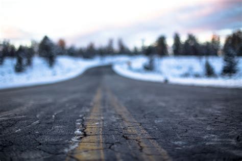 Free Images Tree Nature Snow Cold Winter Road Sunlight Morning