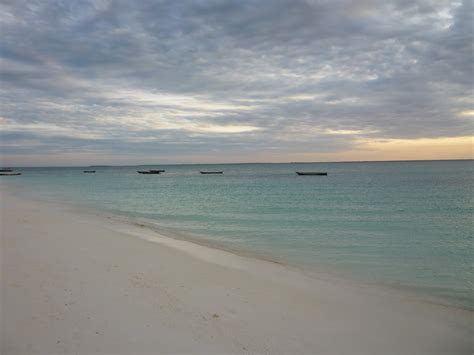 Foto Zanzibar Mare In Agosto Mare Zanzibar Zanzibar Agosto