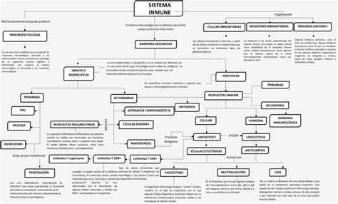 Mapas Conceptuales Del Sistema Inmunológico 【descargar】