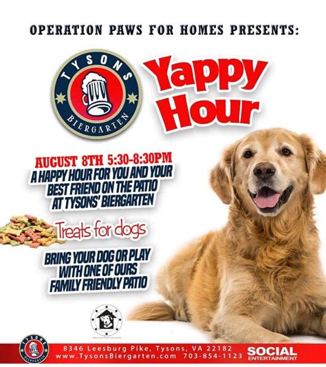 Yappy Hour With Operation Paws For Homes At Tbg Tyson Biergarten