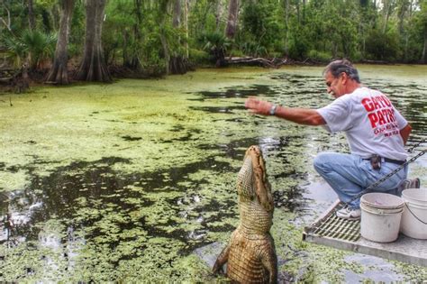 Plantation Swamp Tour - Destrehan Plantation | Gray Line