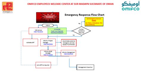 ERP Flow Chart 1 | PDF