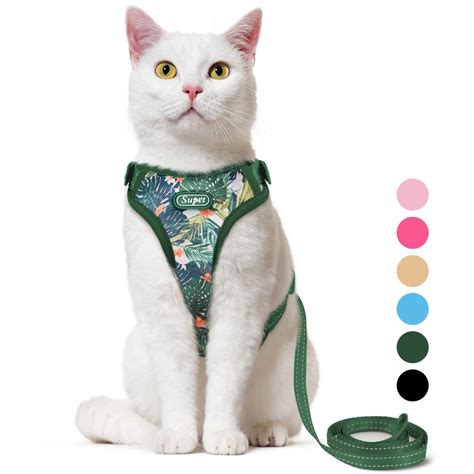 5 Best Cat Harnesses Of 2024