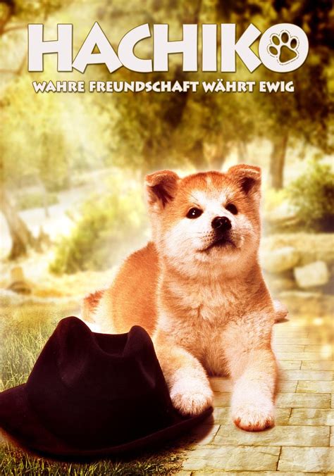 Hachiko Wahre Freundschaft währt ewig Stream Online