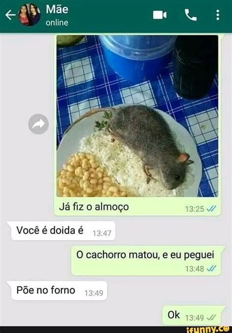 J Fiz O Almo O Voc Doida P E No Forno Metou Eu Peguei Ok