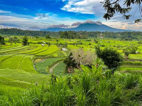 15 Consejos Para Viajar A Bali Por Primera Vez Y NO Liarla