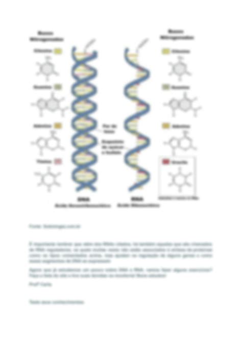 Solution Resumo De Biologia Cidos Nucleicos Studypool