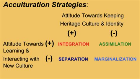 Multicultural Psychology Chapter 4 Acculturation Flashcards Quizlet