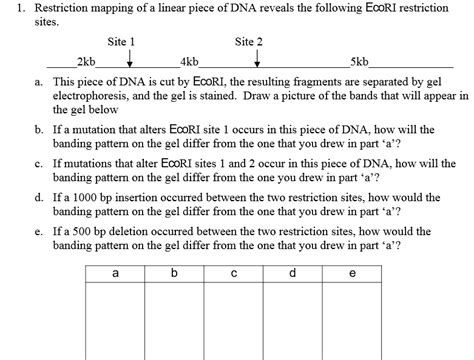 SOLVED Restriction Mapping Of A Linear Piece 0f DNA Reveals The