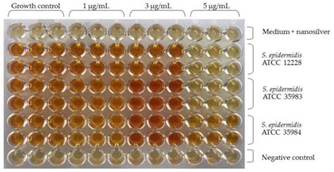 Ijms Special Issue Advances In Antimicrobial Nanomaterials