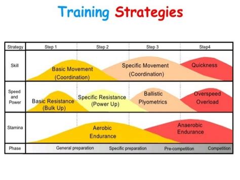 Chapter Planning Of Competitions And Periodization