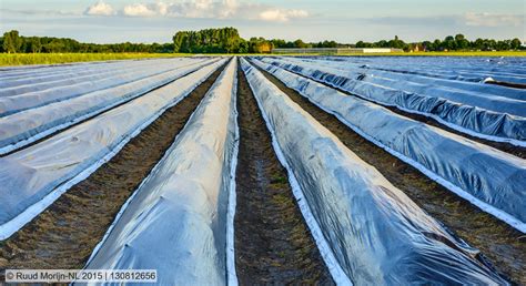 Eu Konsultation Ber Biologisch Abbaubare Kompostierbare Und