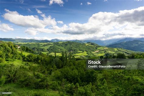 pemandangan panorama lanskap gunung   vegetasi hijau