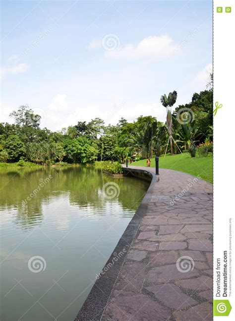 Lake In Singapore Botanic Garden Stock Image Image Of Travel Lake