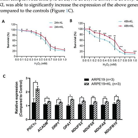 KL Protein Protects RPE From Oxidative Stress And Upregulates The