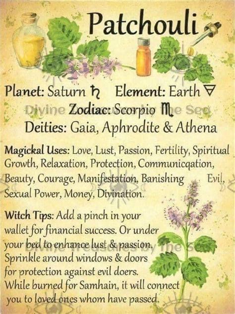 Pin On Witch And Pagan Stuff Herbalism Magic Herbs Herbs