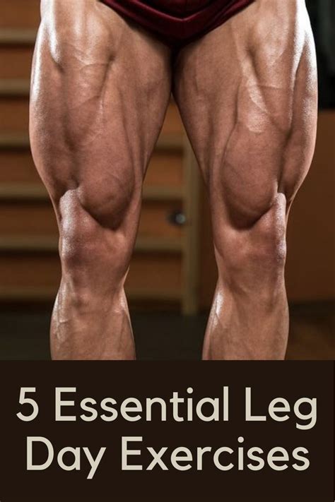 These Essential Leg Day Exercises Will Help To Maximize Your Lower Body Training Leg Workouts