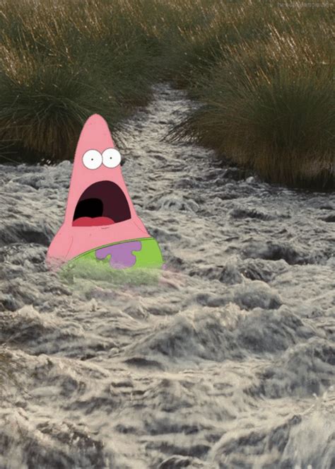 Image 520353 Surprised Patrick Know Your Meme