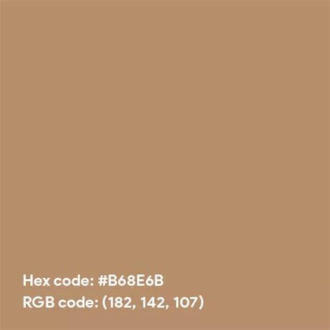 Tan Skin Color Hex Code Is B68e6b