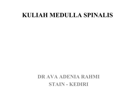 Medula Spinalis Ppt
