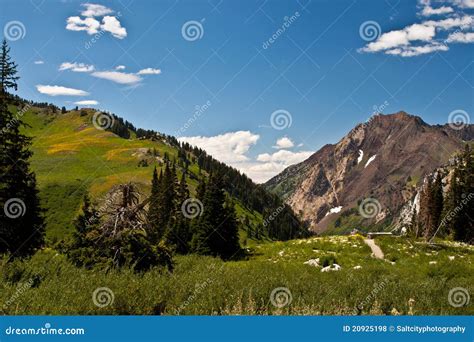 Rocky Mountain High stock photo. Image of altitude, hiking - 20925198