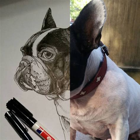 French Bulldog Frenchie Drawing Doodle Doodling Teunen