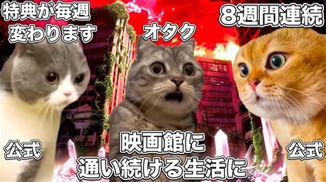 鬼畜仕様によって映画館に毎週通うことになったラブライバーたち【猫ミーム】 猫マニ 猫ミーム Youtube