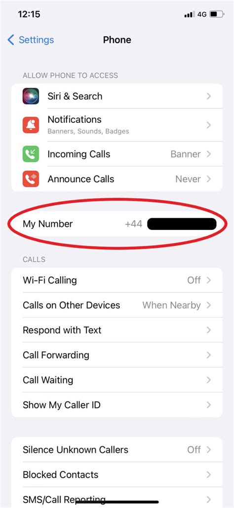 Effortlessly Check Your Caller Id On Iphone Quick Guide Techsynchron