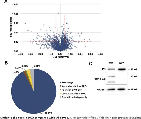 Figure 7 From Phosphoproteomics Reveals That Glycogen Synthase Kinase 3