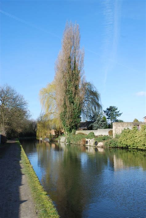 Canal Morse To Town Mar Roger Bunting Flickr