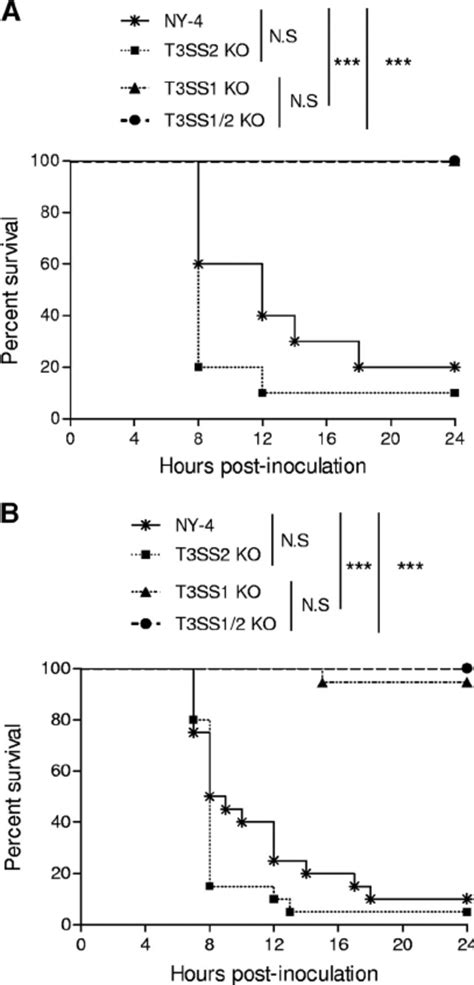 Four groups of C57BL/6 adult mice (10 mice in each group) were ...