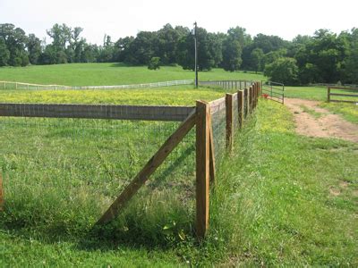 Non-Climb Horse Fence | Shore Custom Fencing