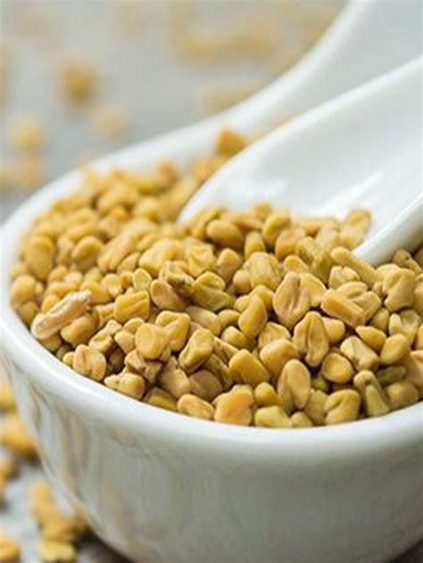 The Health Benefits Of Fenugreek Seeds