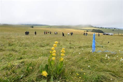 Quel coup un peu vache les agriculteurs ont préparé pour le passage