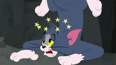 Tom And Jerry Tom Tom And Jerry Tom Dizzy Discover Share Gifs