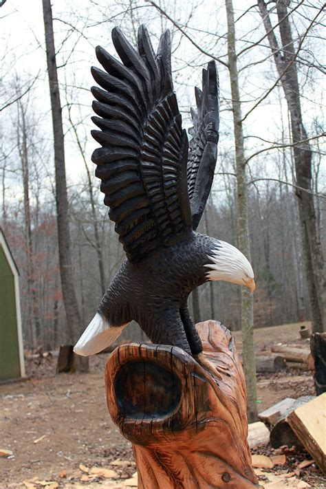 Bald Eagle Landing Sleepy Hollow Art