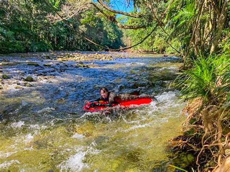 Review: Mossman River Drift Snorkelling from Port Douglas