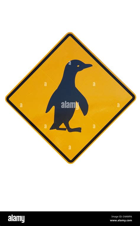 Penguin Warning Sign New Zealand Stock Photo Alamy