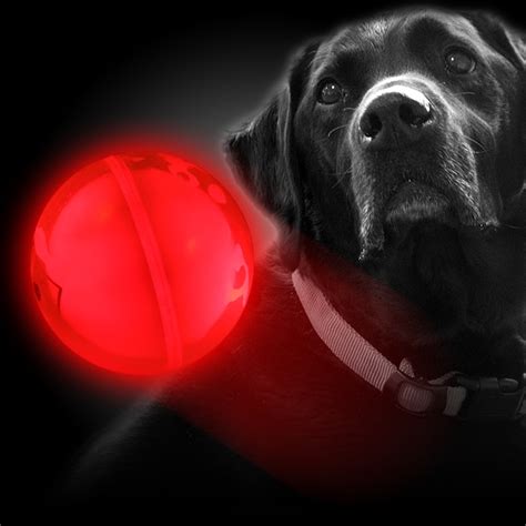 Red LED Light Up Dog Ball