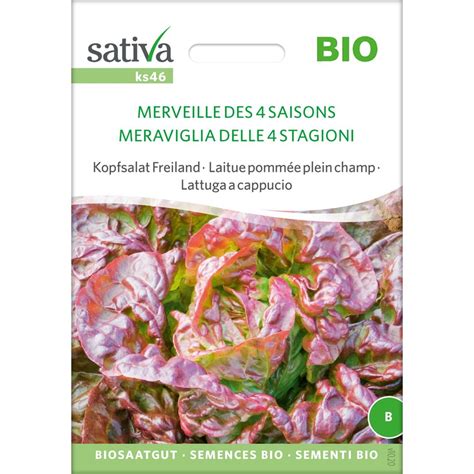 Sativa Laitue Pomm E Plein Champ Bio Merveille Des Saisons