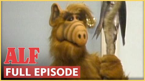 Come Fly With Me ALF FULL Episode S1 Ep26 YouTube