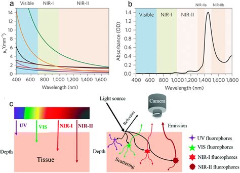 NIR II Semiconducting Polymers For In Vivo High Resolution Imaging And