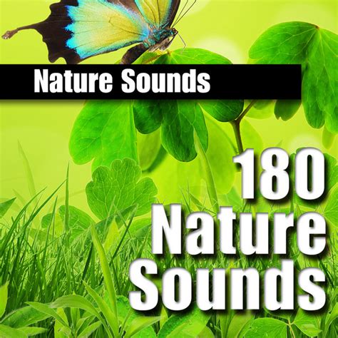 Nature Sounds Album By Nature Sounds Spotify