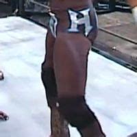 CrazyTights Shawn Michaels Brown