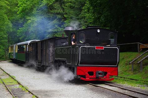 Mocanita Touristic Train The Last Forestry Steam Working Train In