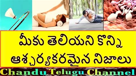 Top Interesting And Amazing Facts In Telugu Unknown Facts In Telugu