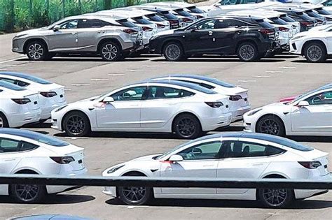 特斯拉 2021 第三季新車到港：台灣首批 Ccs2 Model 3 本月下旬開始交車 Ddcar 電動車 Line Today